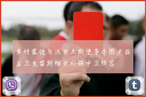 多特蒙德与沃尔夫斯堡争夺图卢兹后卫克雷斯维尔补强中卫阵容